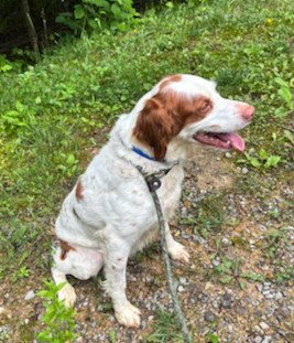 TN/Dottie, photo 4