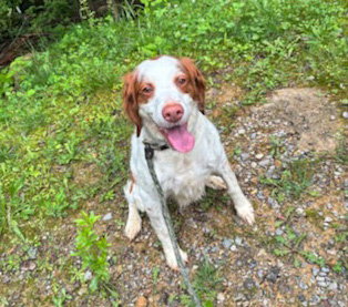 TN/Dottie, photo 5