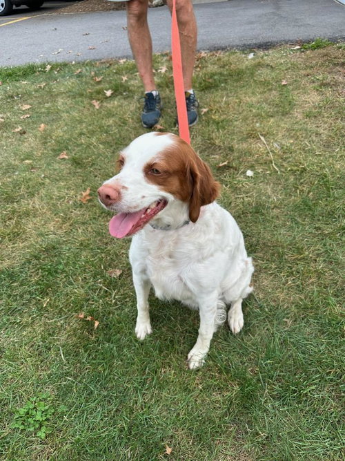 TN/Dottie, photo 6