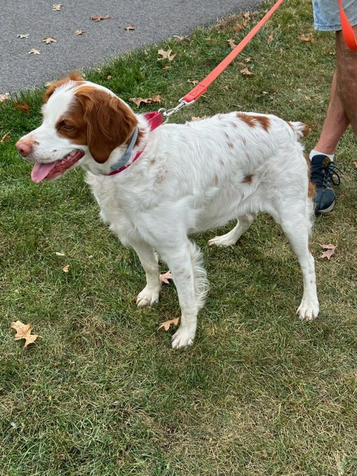 TN/Dottie, photo 7