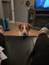 PA/Molly - Photo 4