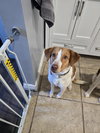 PA/Molly - Photo 1
