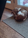 PA/Molly - Photo 11