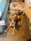 PA/Molly - Photo 8