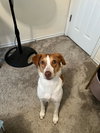 PA/Molly - Photo 10