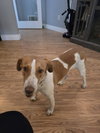 PA/Molly - Photo 5