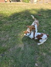 PA/Molly - Photo 6