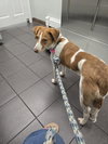 PA/Molly - Photo 9