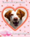 adoptable Dog in  named OK/Carter Lee