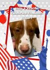 adoptable Dog in  named KS/Trace