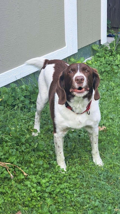 Photo of MI/Buddy Holly