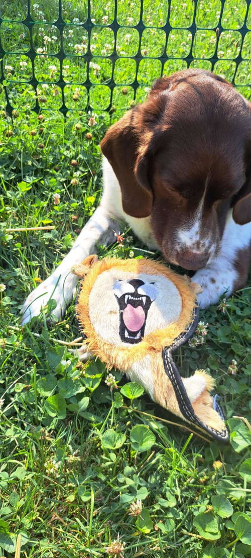 Photo of MI/Buddy Holly