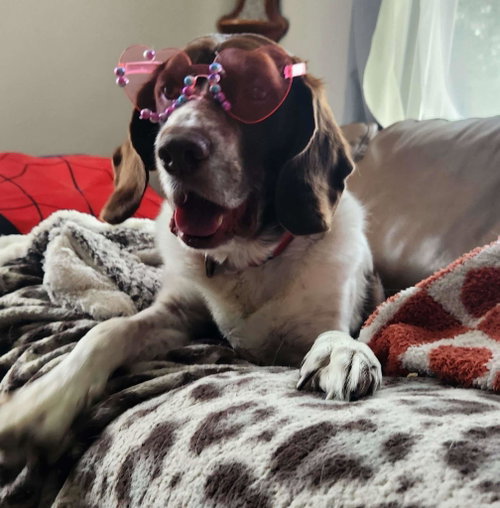 Photo of MI/Buddy Holly