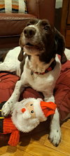 MI/Buddy Holly - Photo 2
