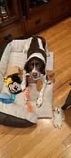 MI/Buddy Holly - Photo 3