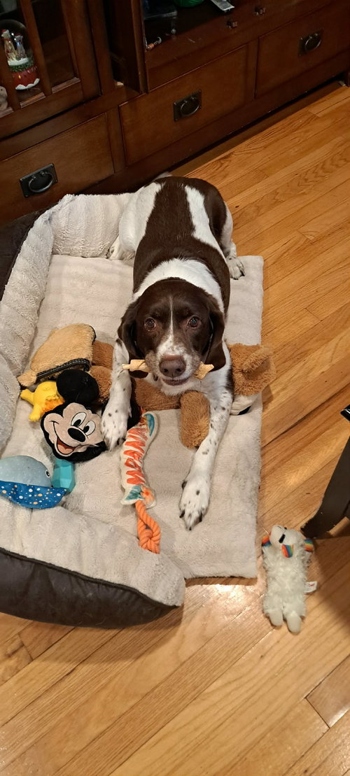 MI/Buddy Holly, photo 3