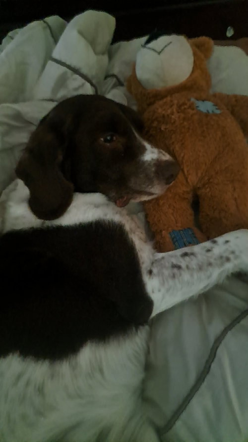 MI/Buddy Holly, photo 4