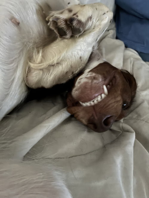 Photo of ME/Penny