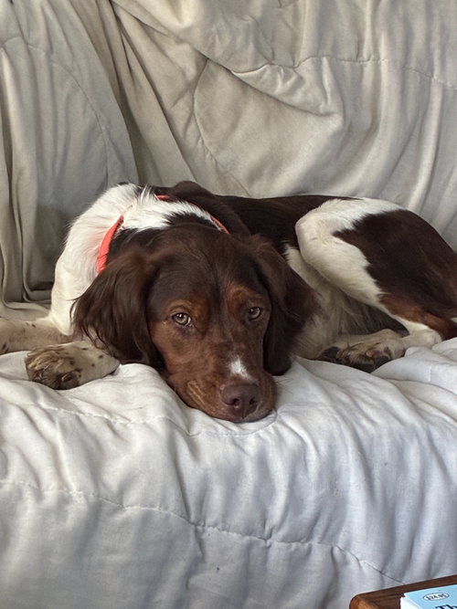 Photo of ME/Penny