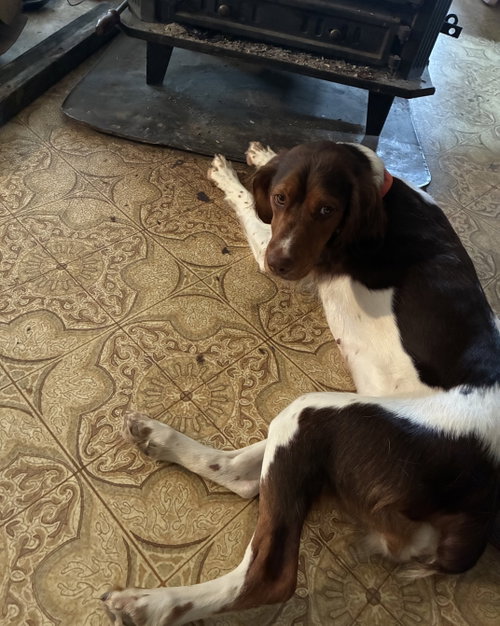Photo of ME/Penny