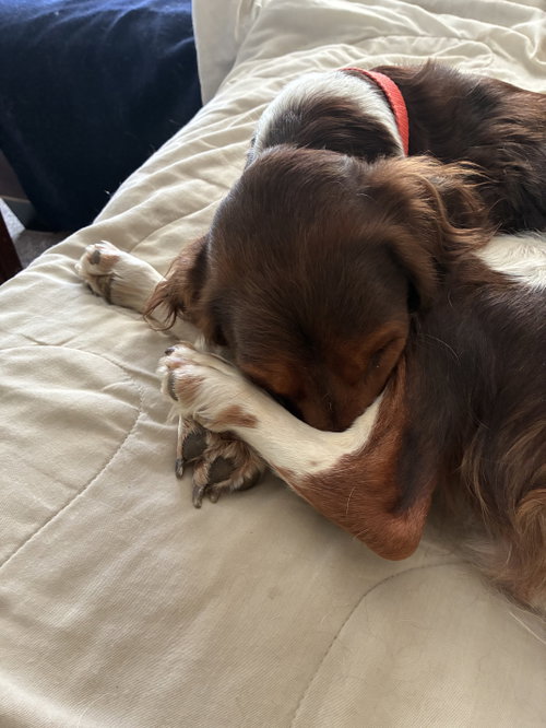 Photo of ME/Penny