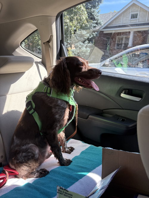 Photo of CO/Archibald "Archie"