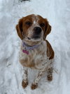 WI/Maple - Photo 3