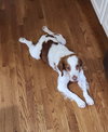 KY/Chance - Photo 2