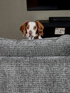 KY/Chance - Photo 4