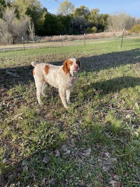 UT/Charlie