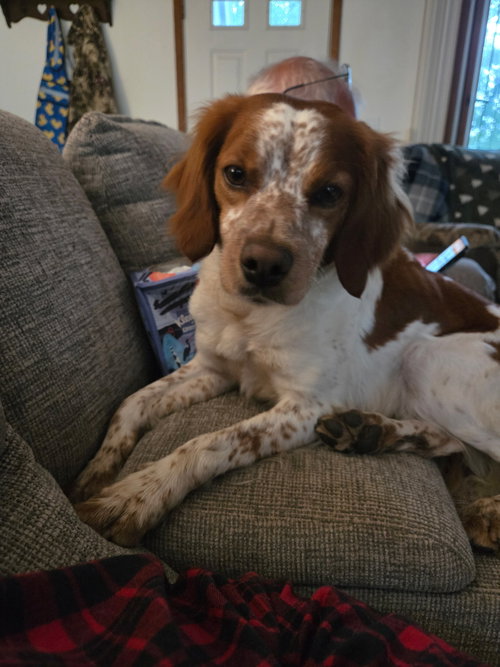 Mi/Sadie photo 2