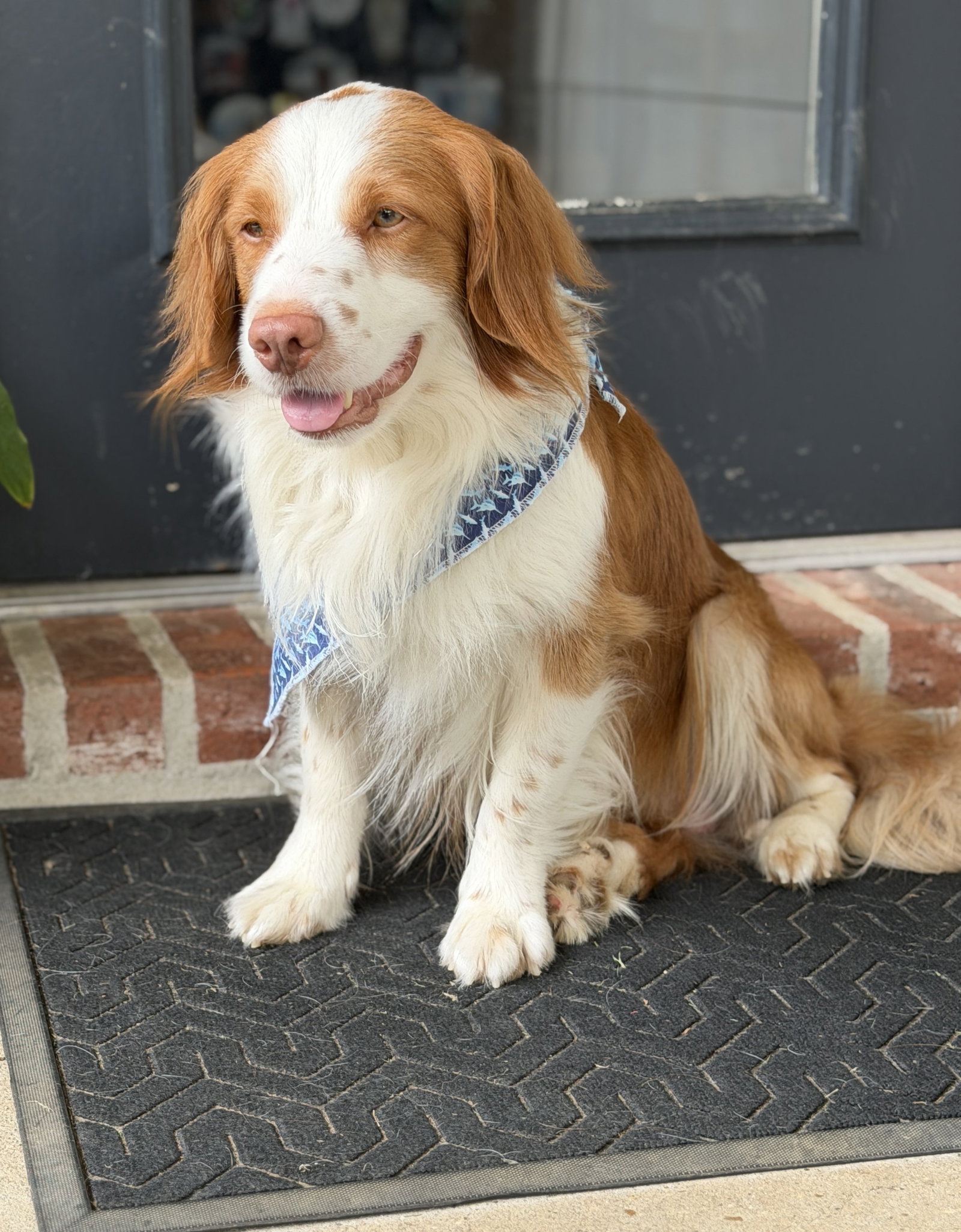 TX/Tank Fritz (LA), photo 5