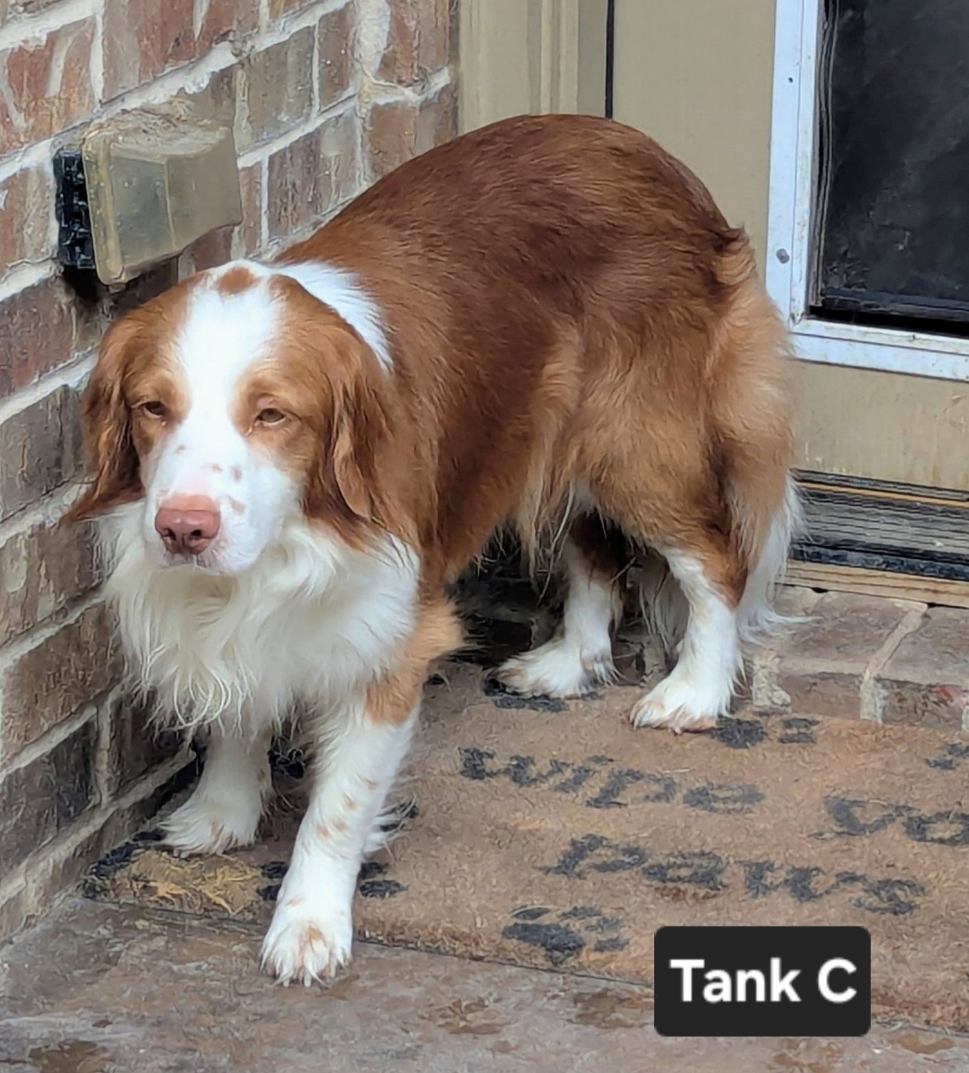 TX/Tank Fritz (LA), photo 9