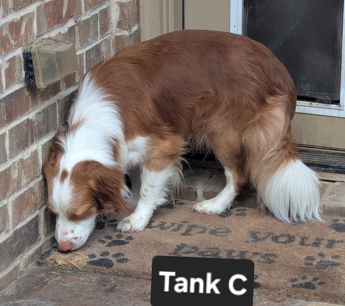 TX/Tank Fritz (LA), photo 10