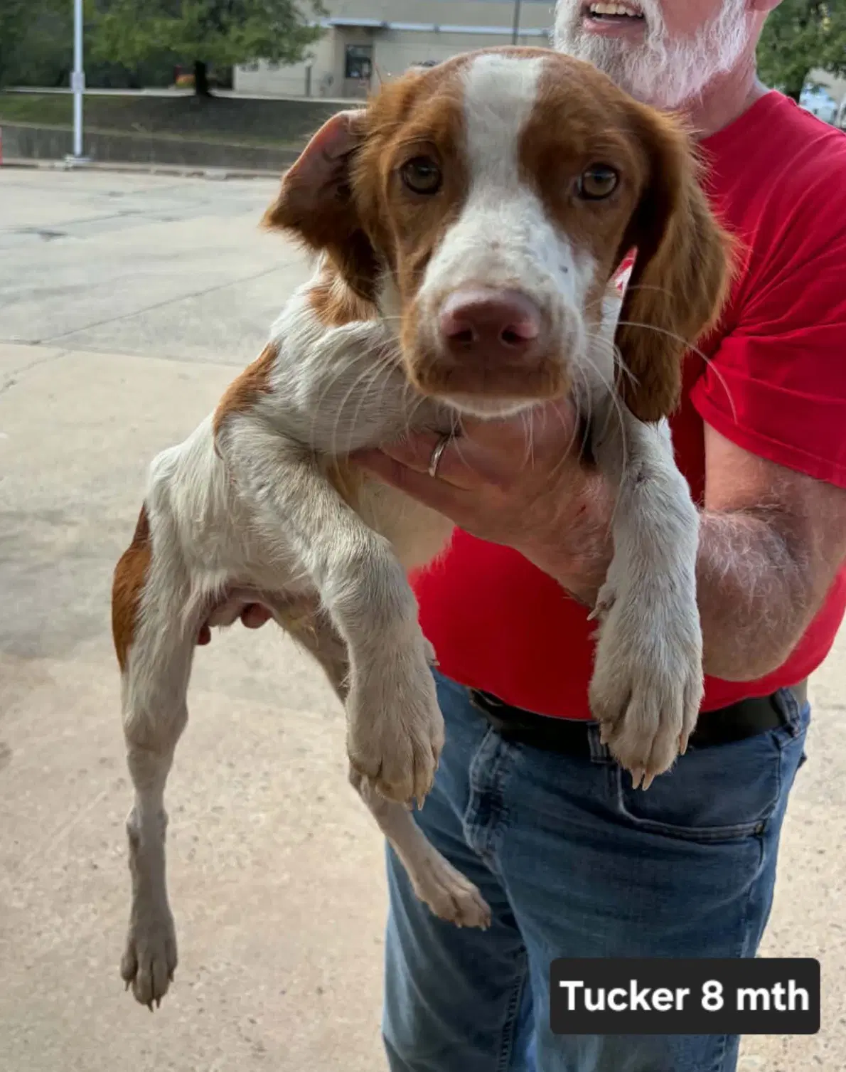 Oktucker La - Brittany