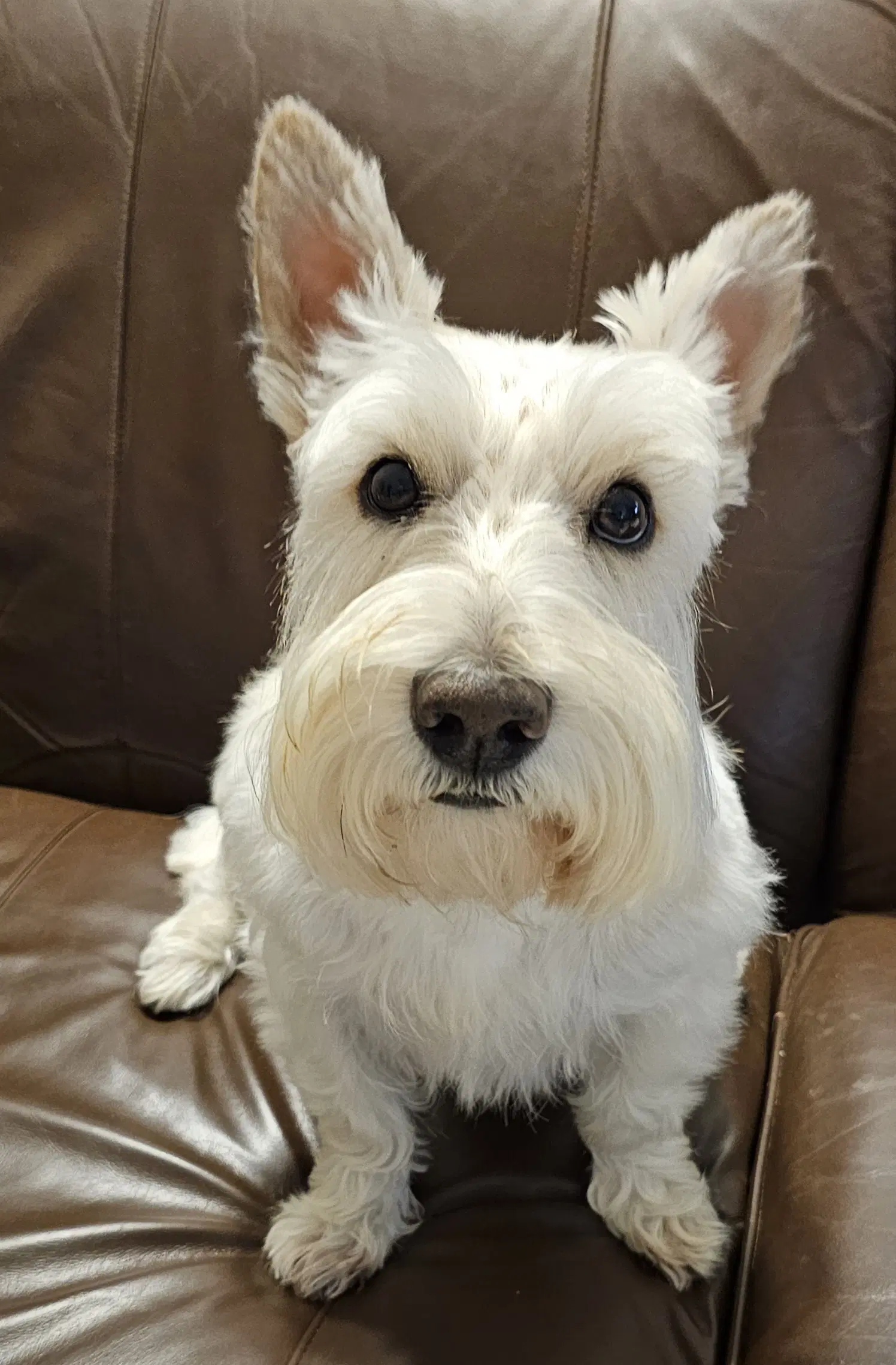 Finley image 2