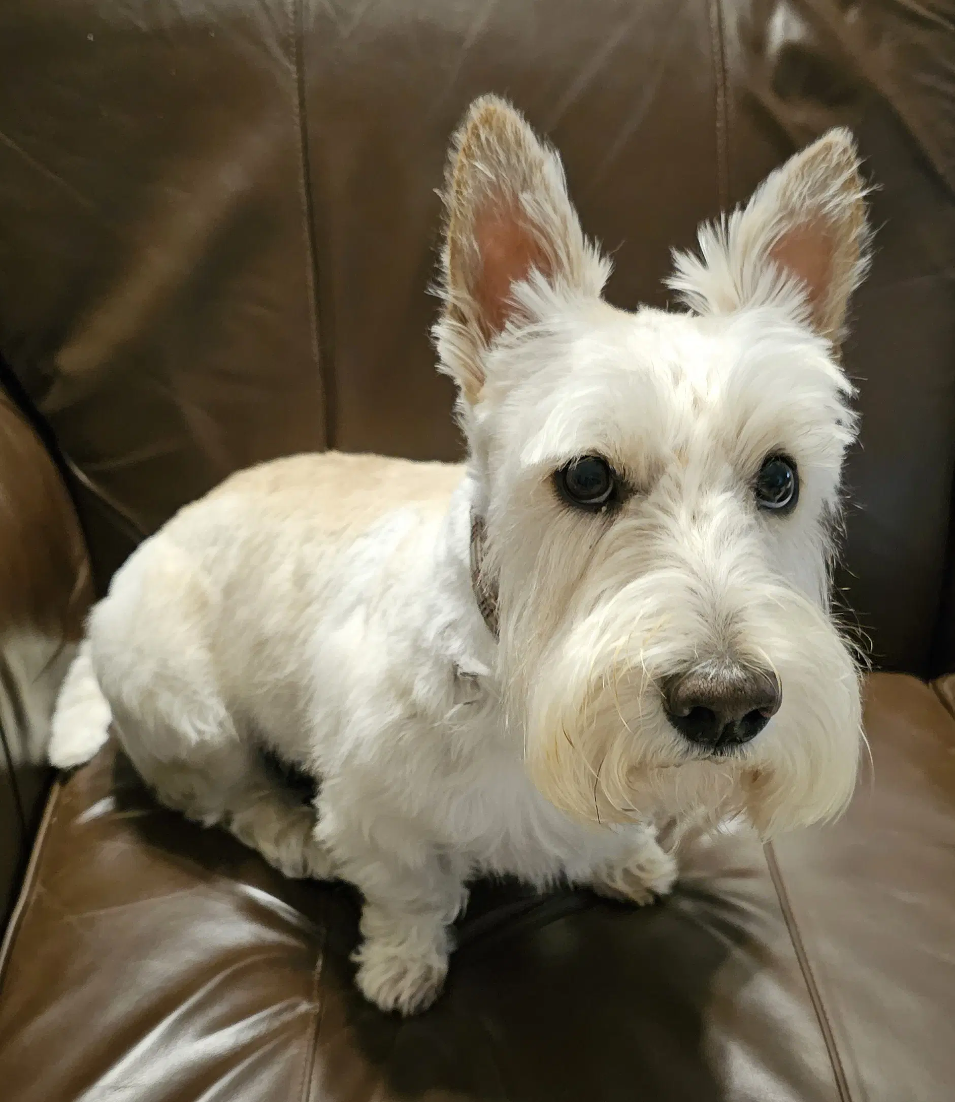 Finley image 3