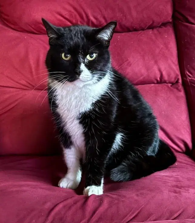 Nettie image 3