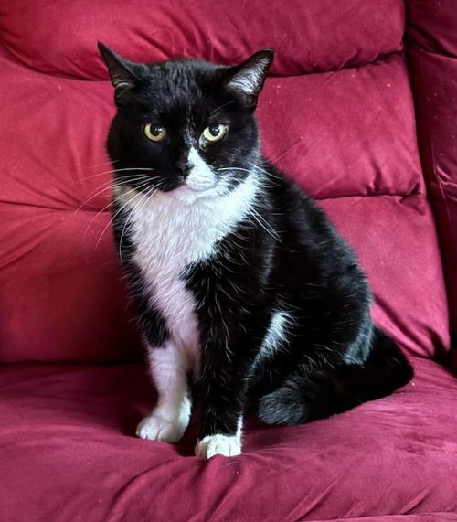 Photo 3 of Nettie
