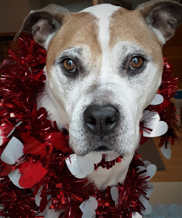 Mabel - super friendly!