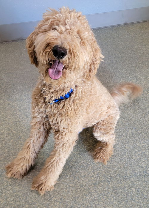 Sunny/Murphy