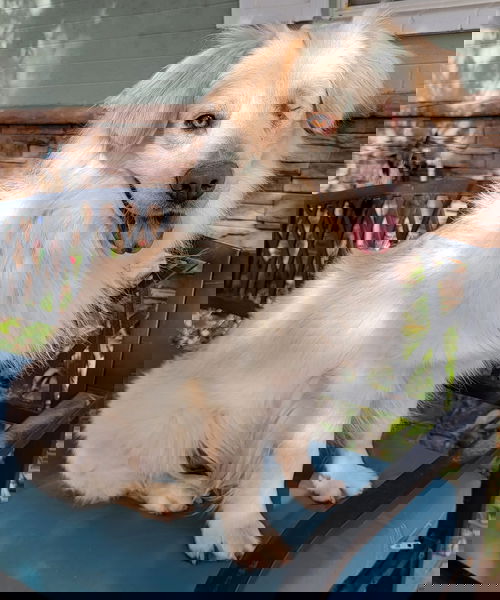 Juno