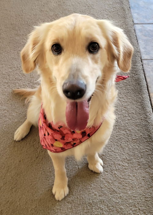 Frida
