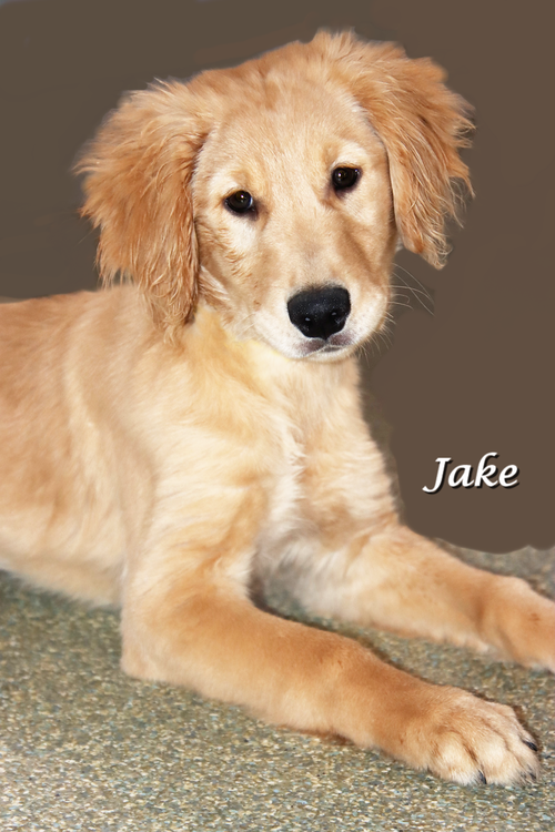 Jake