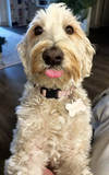Sasha/Bailee