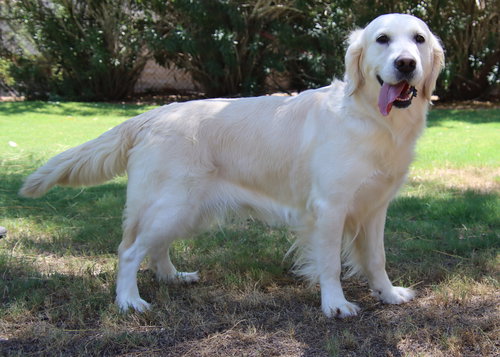 Lilly
