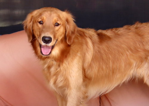 Thena/Zena