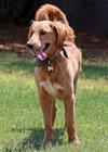 Walter