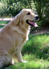 Sasha/Bisbee
