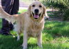 Sasha/Bisbee
